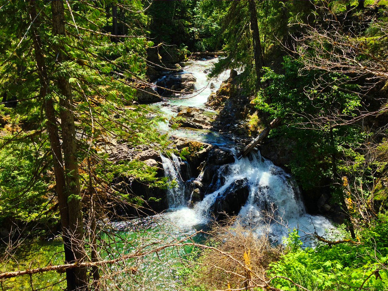Elk_Lake_zps174aaeca.jpg