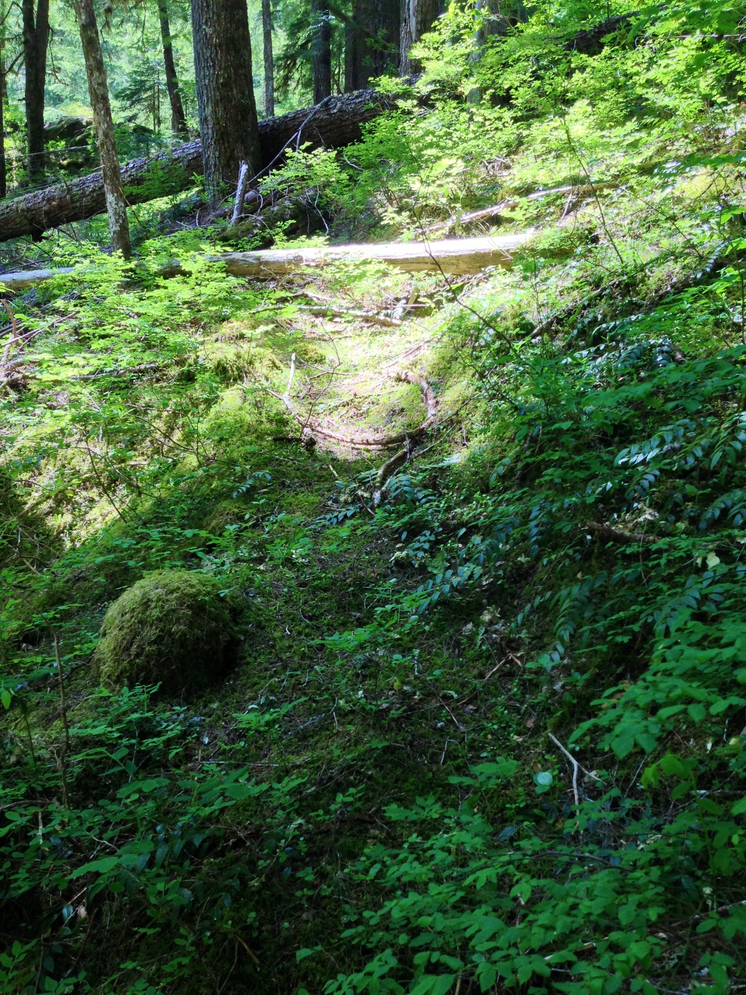 image-2.jpg