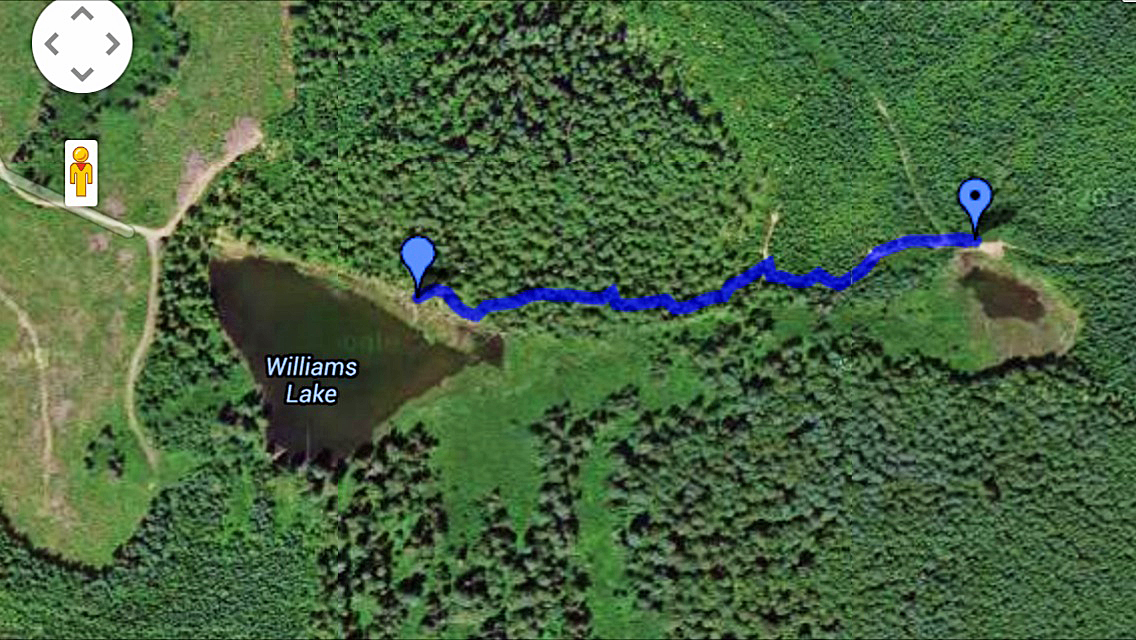 WilliamsLkTrail2.jpg