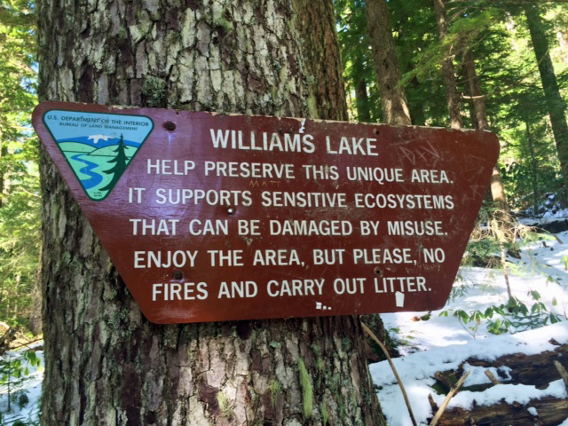 WilliamsLkTrl.jpg
