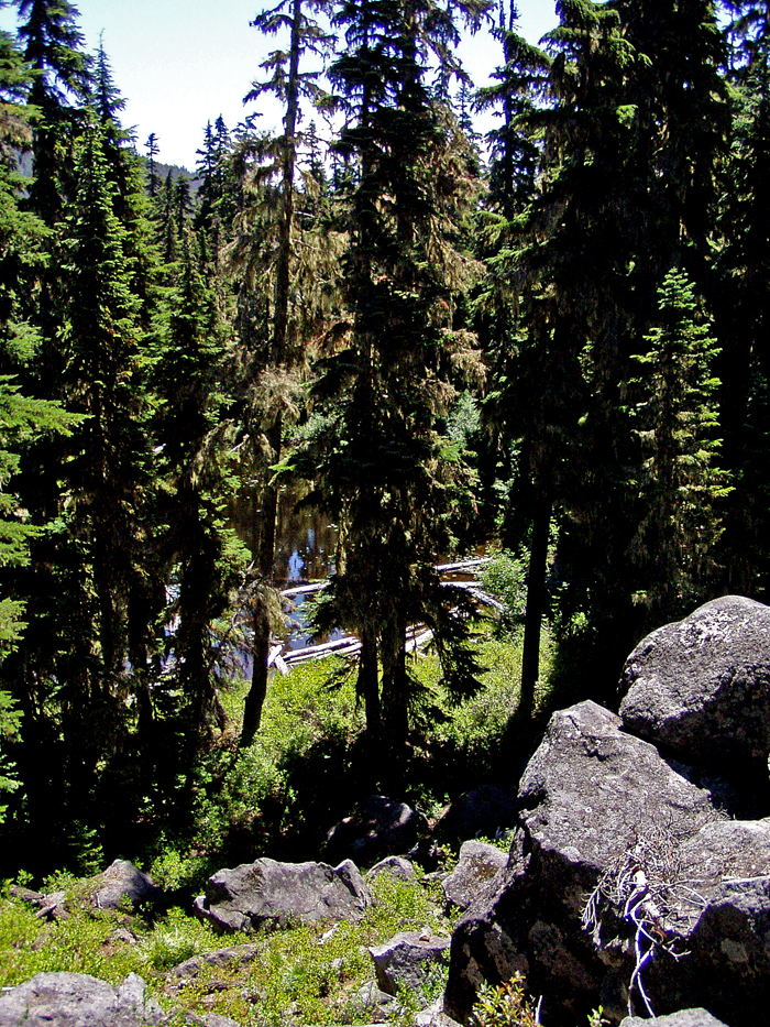 Pond_49.jpg