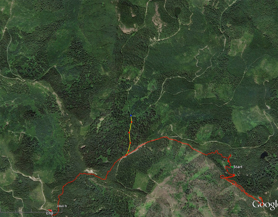 Surprise_Route2R.png