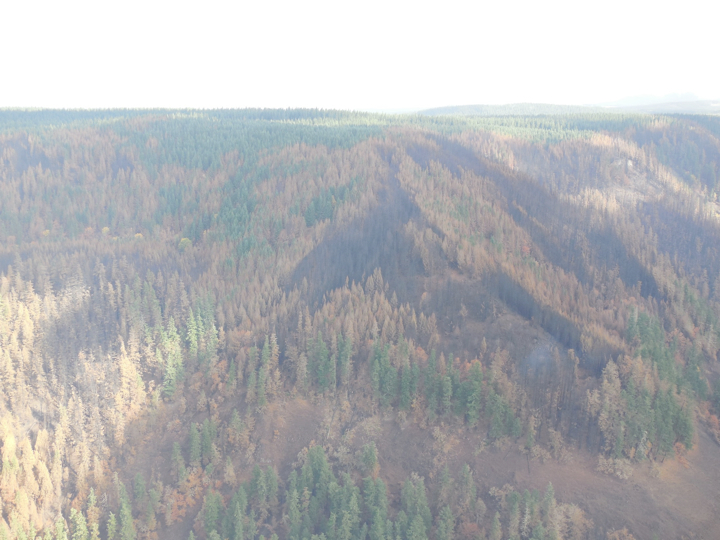 36-pit-fire2.003.jpg