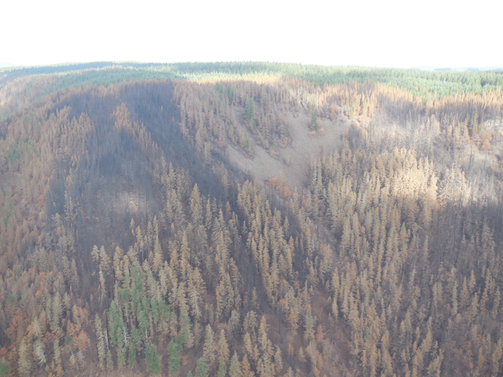 36-pit-fire2.004.jpg