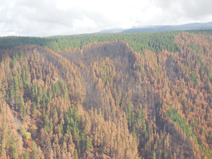 36-pit-fire2.005.jpg