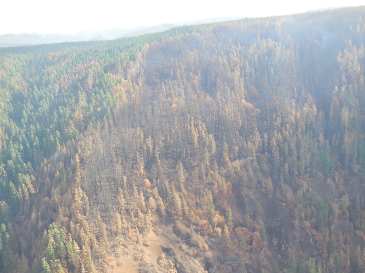 36-pit-fire2.006.jpg