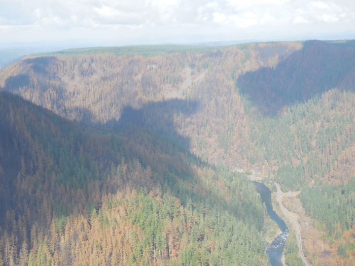 36-pit-fire2.007.jpg