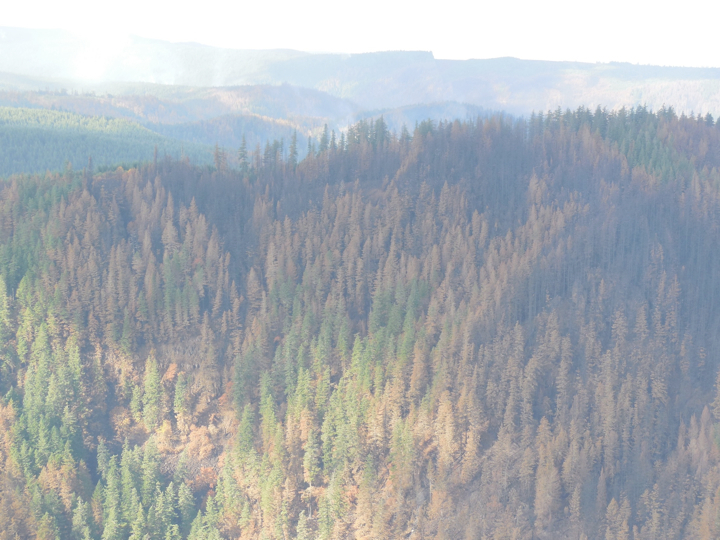 36-pit-fire2.008.jpg