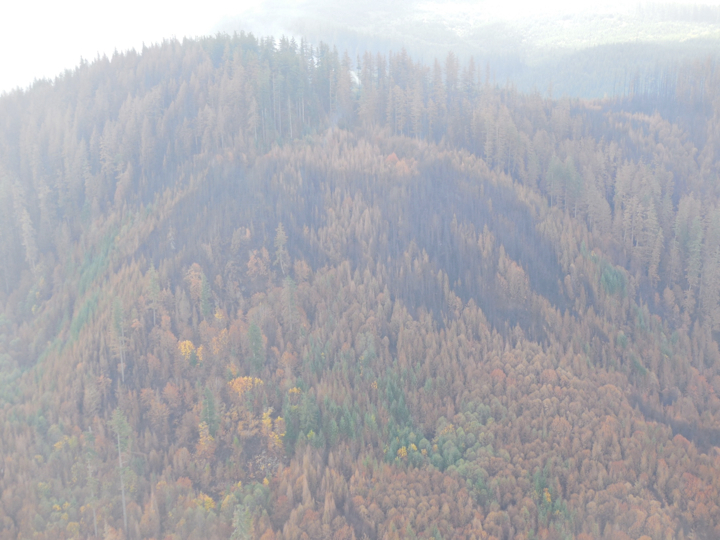 36-pit-fire2.009.jpg