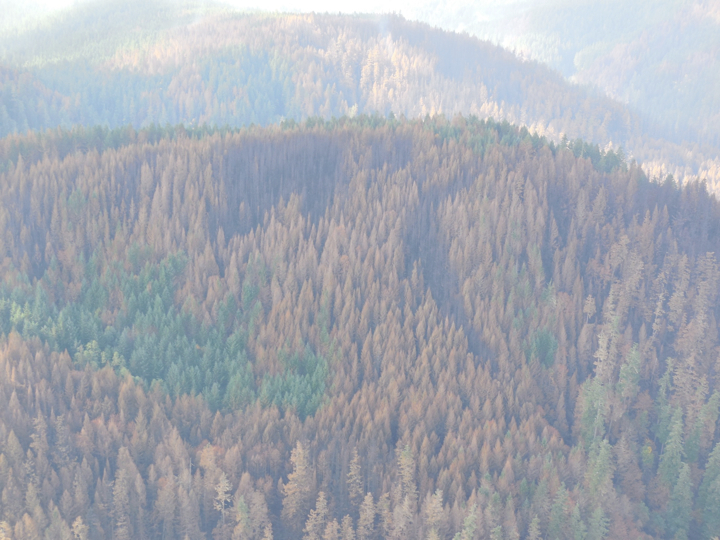 36-pit-fire2.010.jpg