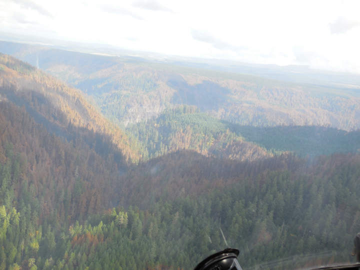 36-pit-fire2.012.jpg