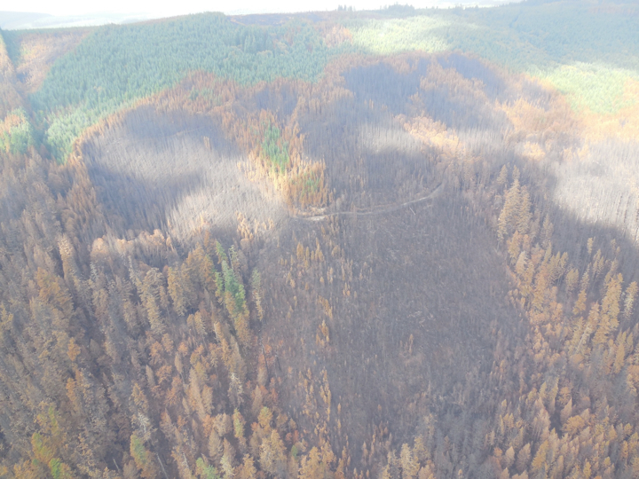 36-pit-fire2.013.jpg