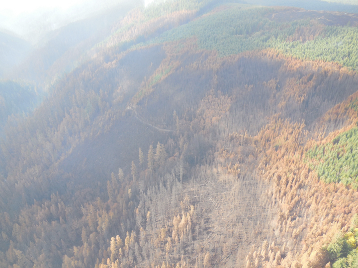 36-pit-fire2.014.jpg