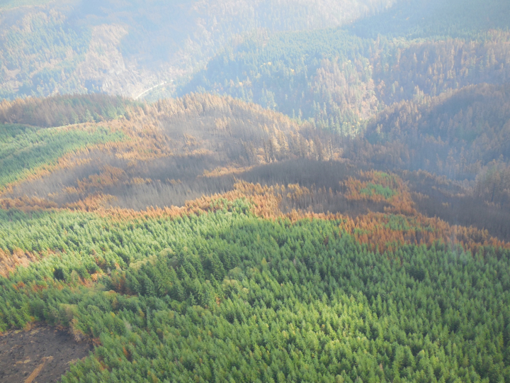 36-pit-fire2.015.jpg
