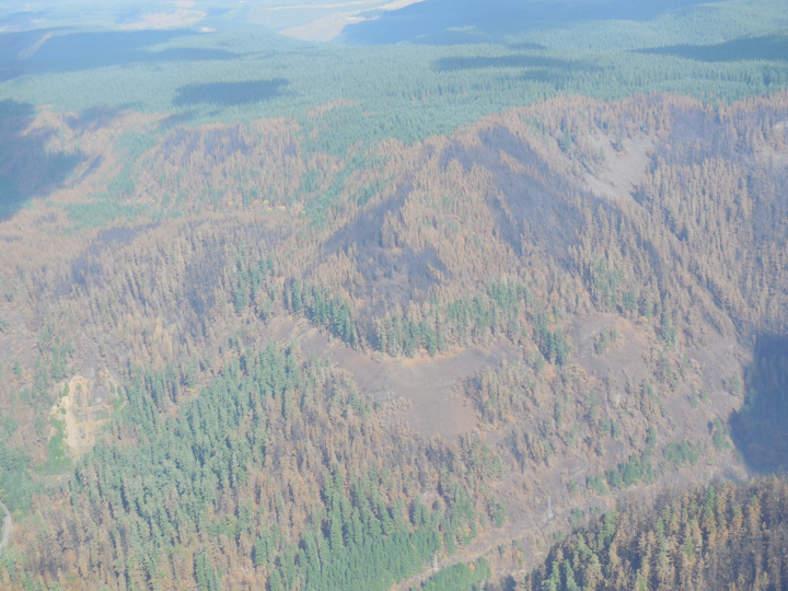 36-pit-fire2.016.jpg