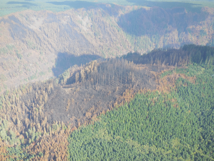 36-pit-fire2.017.jpg