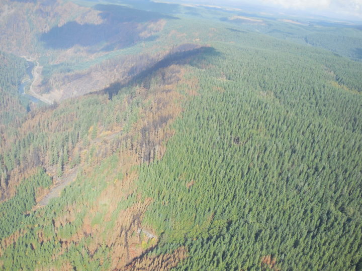 36-pit-fire2.018.jpg