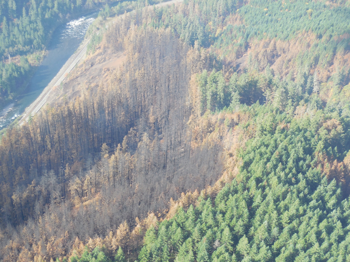 36-pit-fire2.019.jpg