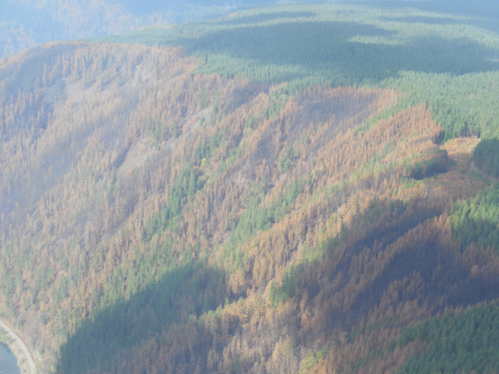 36-pit-fire2.020.jpg