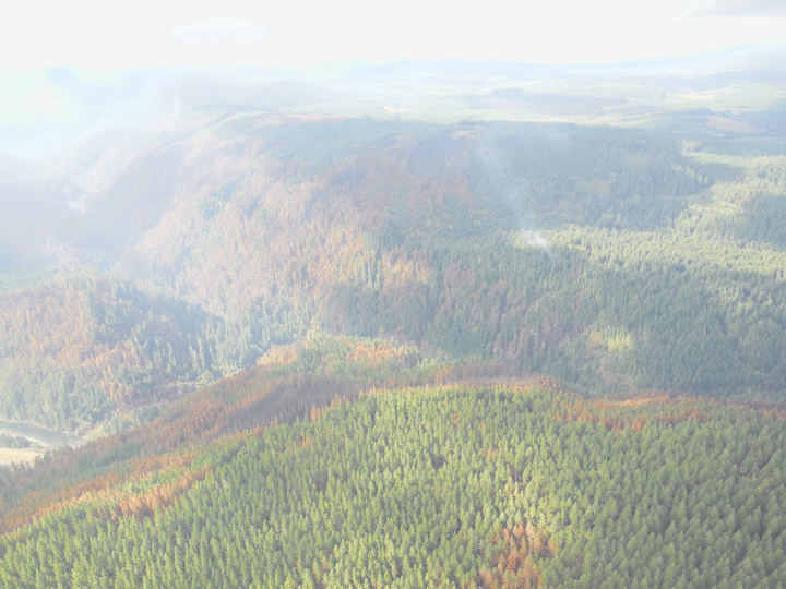 36-pit-fire2.022.jpg