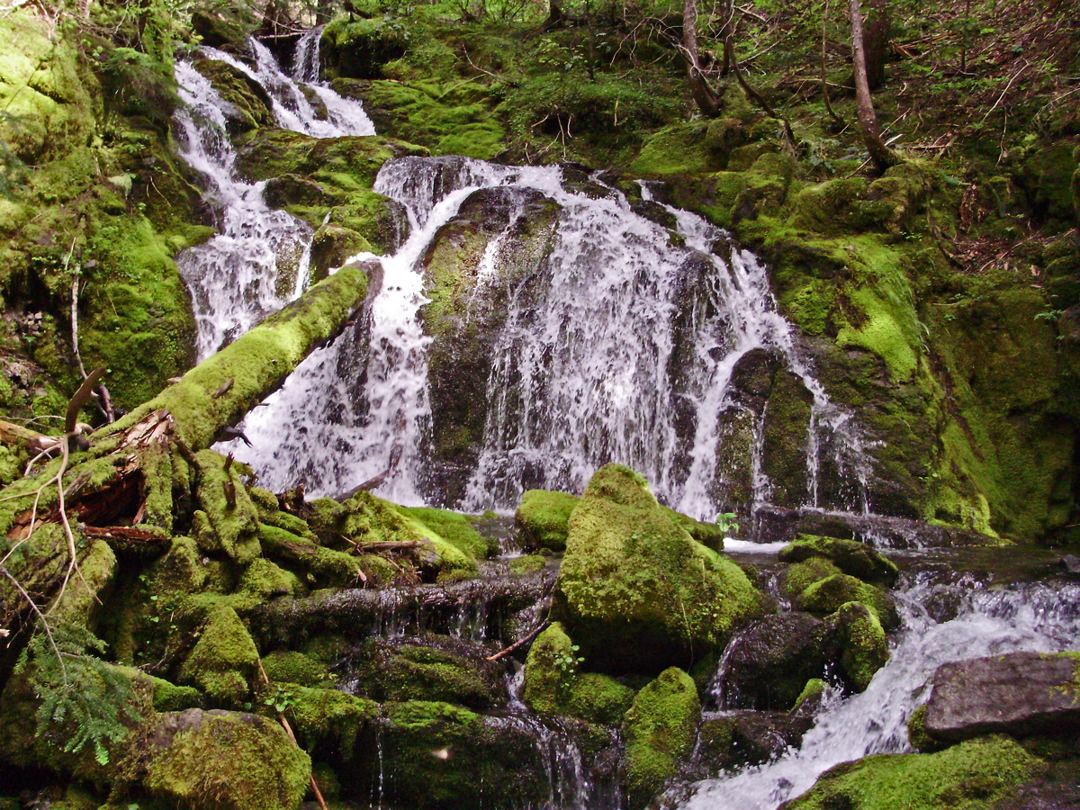 Pansy_Falls-36.jpg