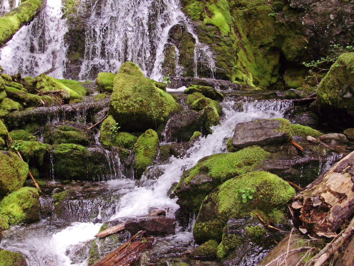 Pansy_Falls-38.jpg