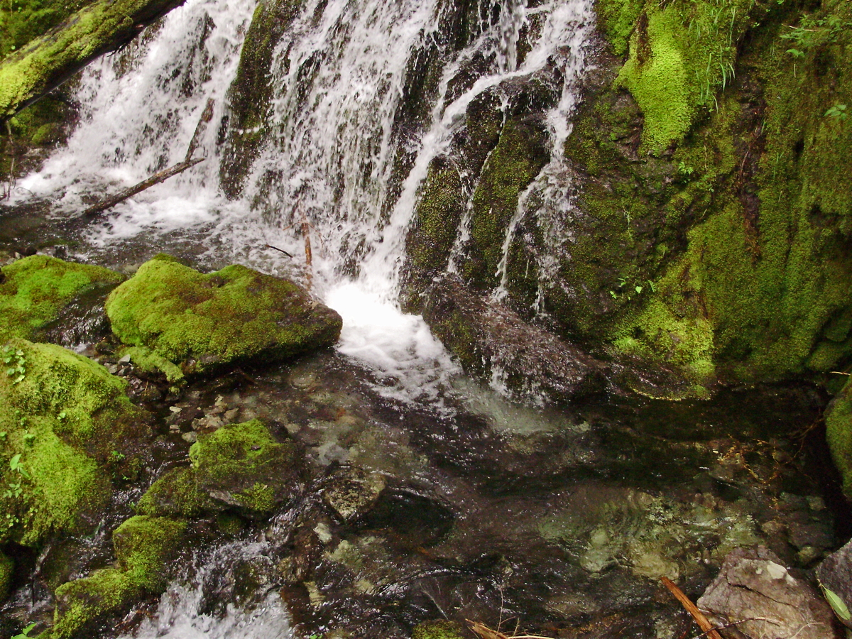 Pansy_Falls-40.jpg