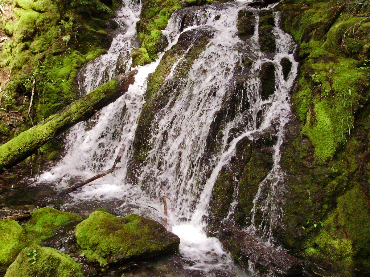 Pansy_Falls-42.jpg