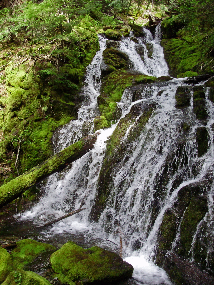 Pansy_Falls-44.jpg