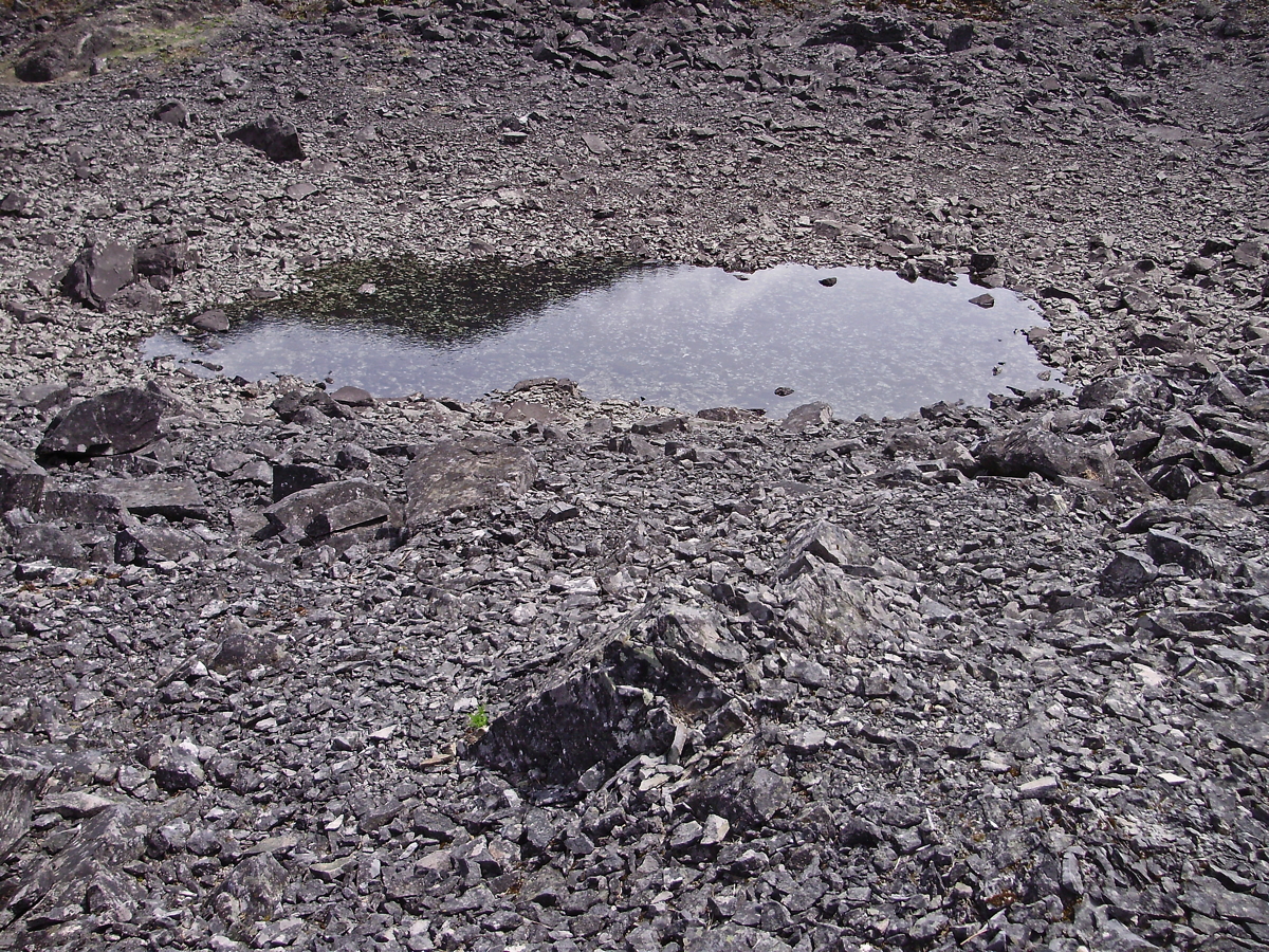 Rockslide_Lake-13.jpg