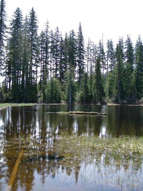 dscf0562.jpg
