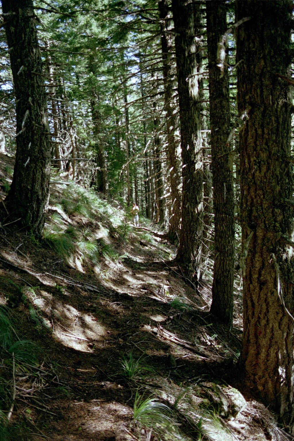 fh000005.jpg