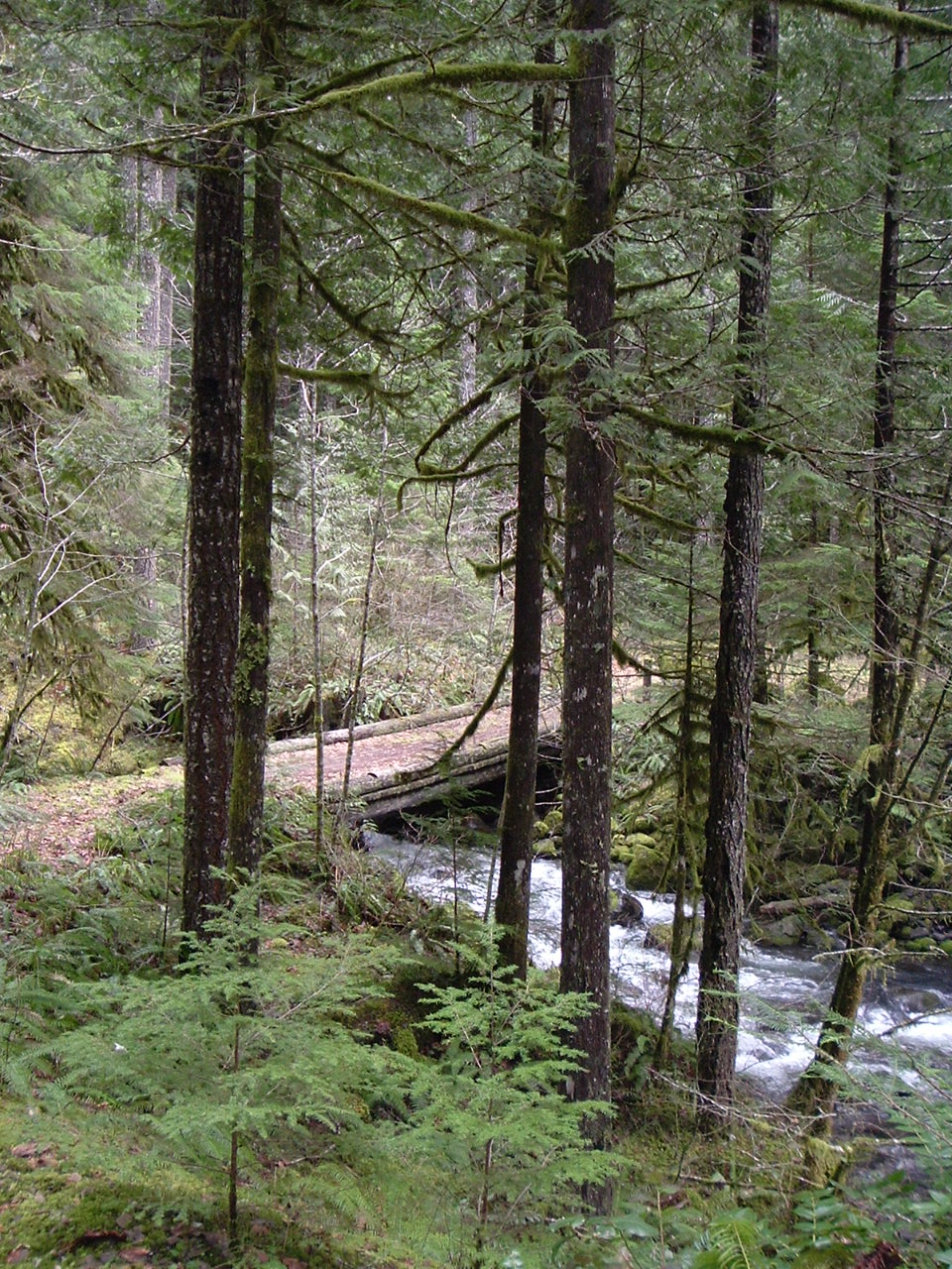 DSCF0931-1.JPG