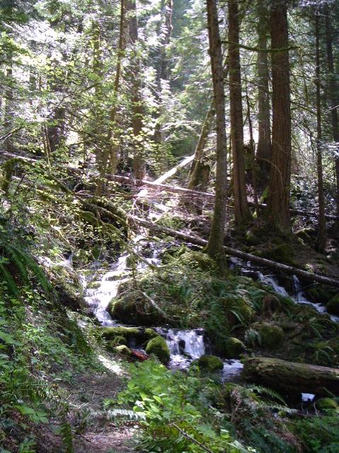 dscf0178.jpg