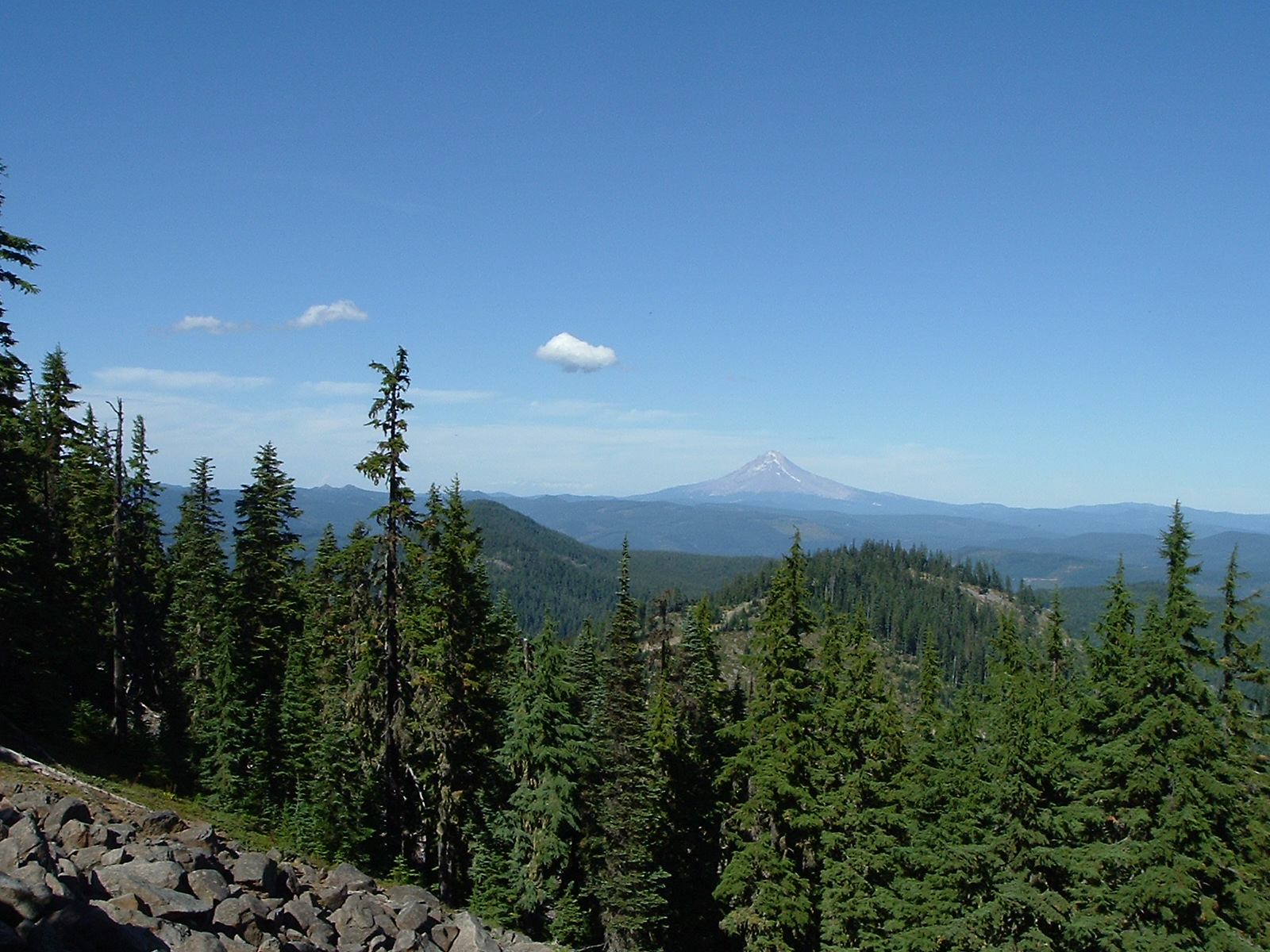 dscf0771.jpg