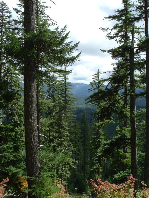 DSCF0993.JPG