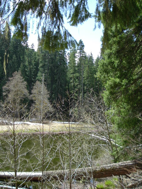 dscf0144.jpg