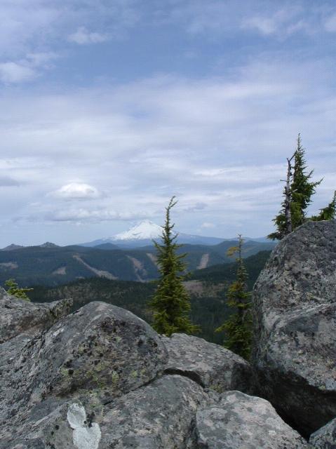 dscf0571.jpg