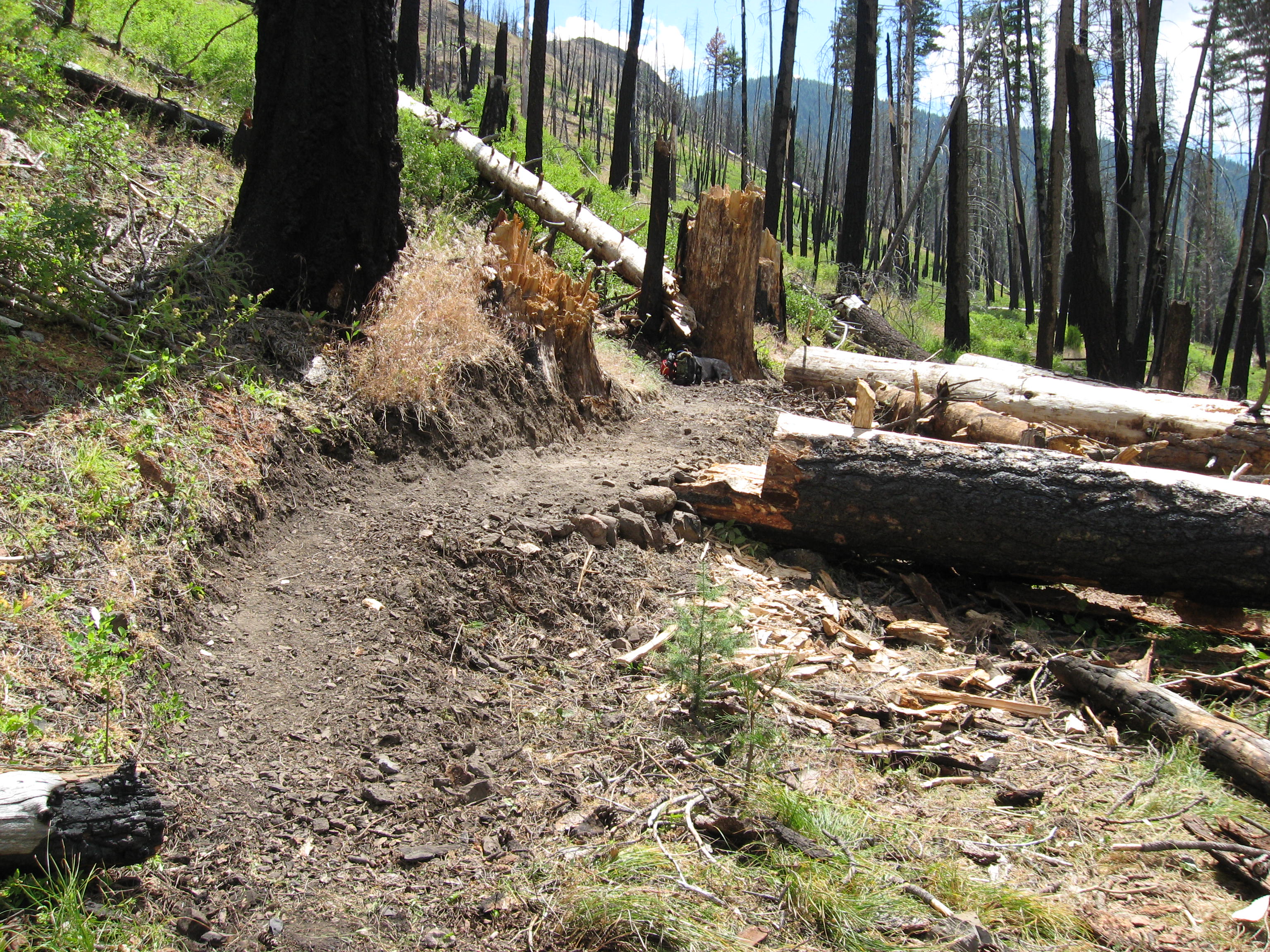 millcreektr-024.jpg