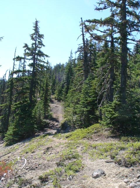 dscf0807.jpg