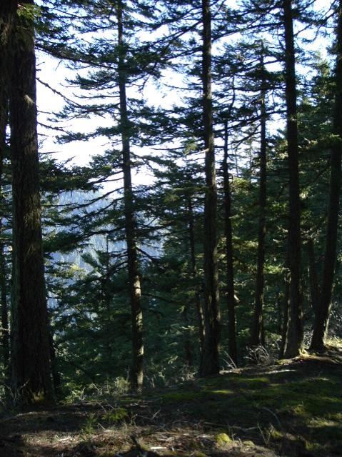 dscf0088.jpg