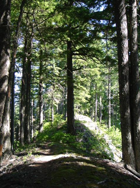 dscf0323.jpg