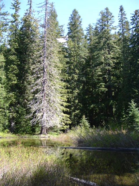 dscf0228.jpg