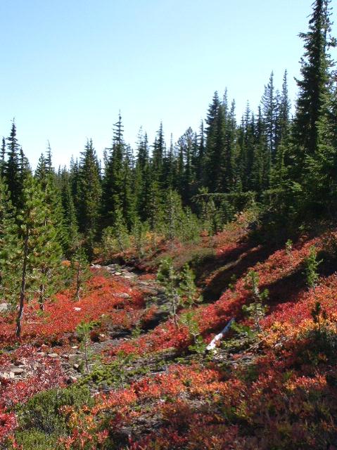 dscf0433.jpg
