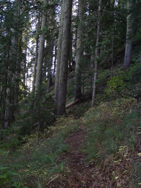 dscf0444.jpg