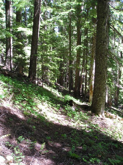 2008-07-09-020a.jpg