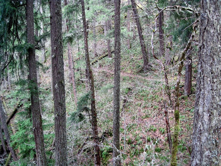 2011-03-23-023ab.jpg