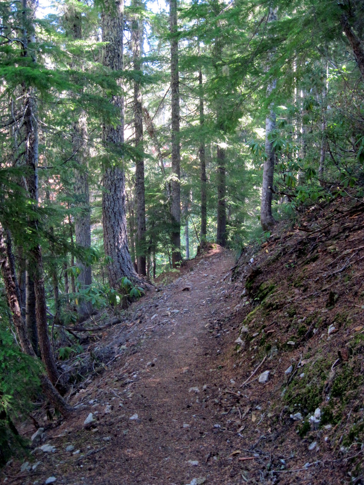 2012-10-10-096a-1.jpg