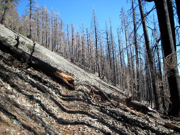 2012-10-10-123ab-2.jpg