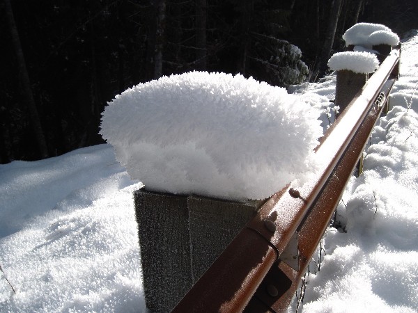 2013-01-22-009ab.jpg